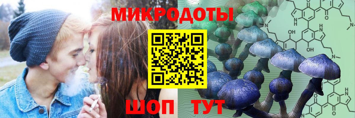 Галлюциногенные грибы Cubensis Протвино
