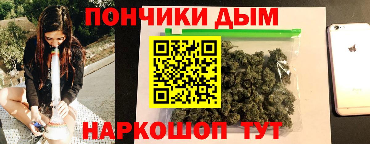 Канабис ГИДРОПОН Протвино